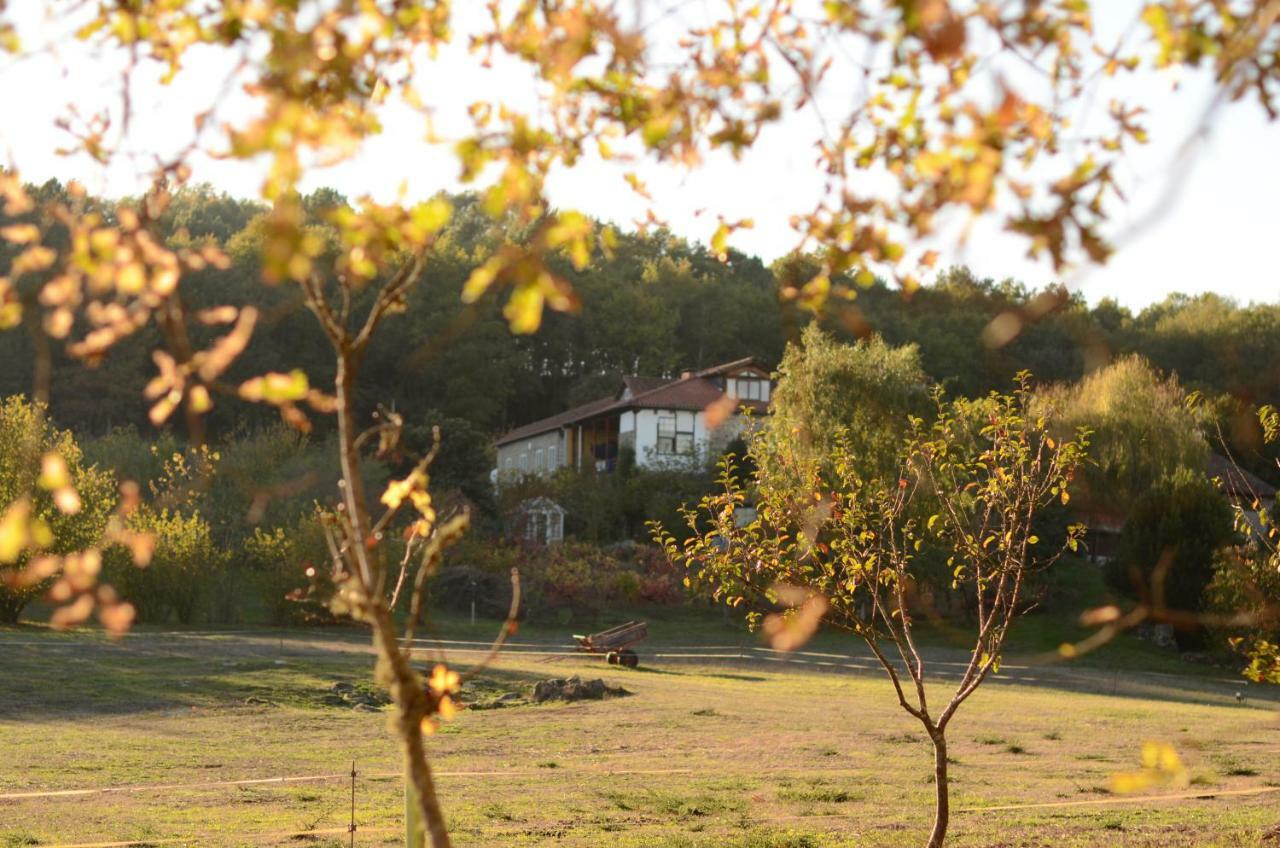 Torre Tanquian Eco Finca - Ribeira Sacra Пантон Экстерьер фото